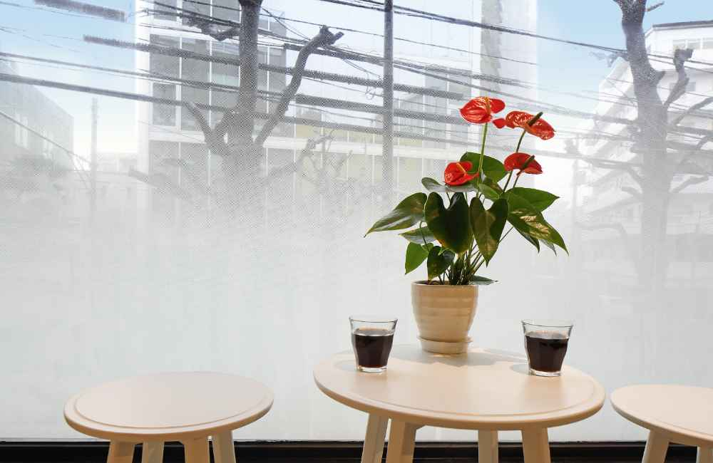 中川化學株式會社 Nakagawa Chemical - Foglas Print Gradation 磨砂玻璃印刷漸變薄膜 - FP-001